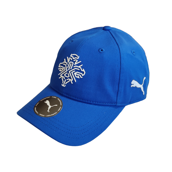 Puma Team Cap