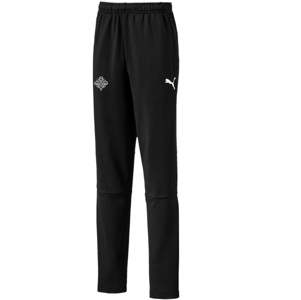 Puma liga training hot sale pants