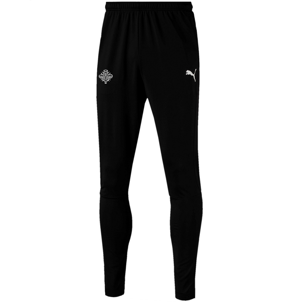 Puma liga 2024 pro training pants
